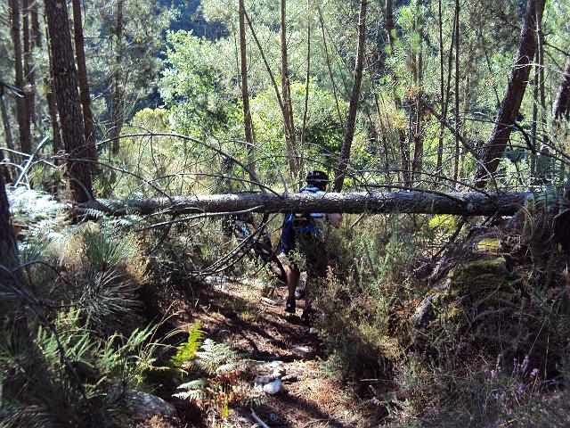 151-Algum imprevisto.JPG